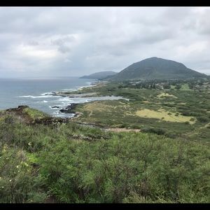 Meet your Posher, Sherry